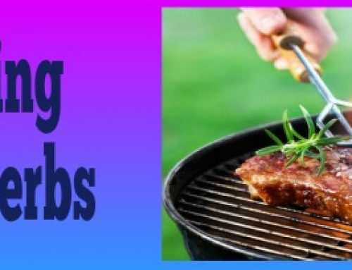 Infuse More Flavor by Grilling With Herbs